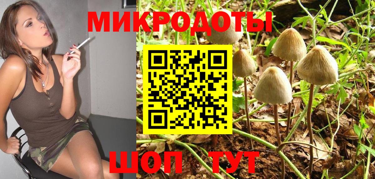 Конаково  Галлюциногенные грибы мицелий  купить закладку  Вход с VPN  Галлюциногенные грибы Psilocybine cubensis 